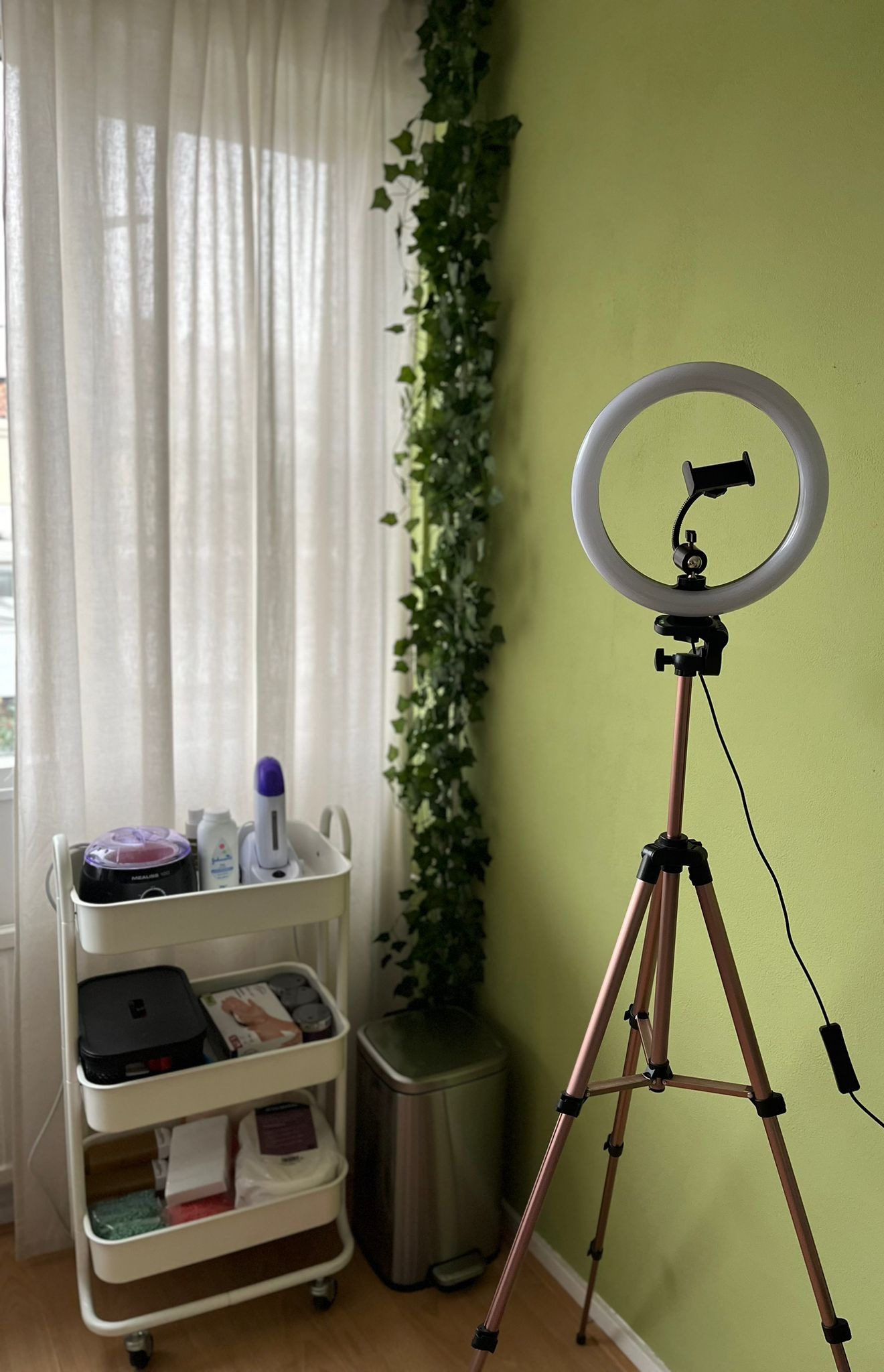 Ringlamp op statief bij het raam, met klimop langs de groene wand