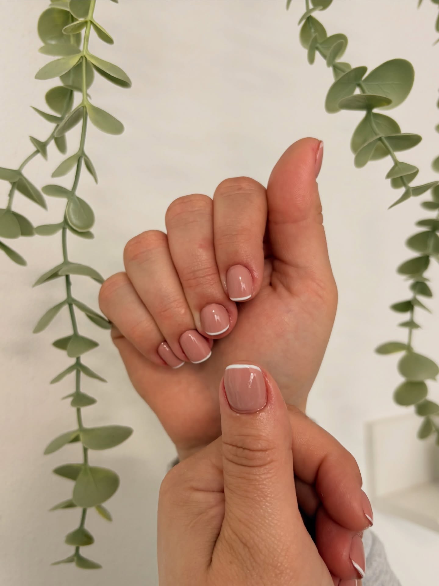 Korte nude French nagels tegen een eucalyptustak